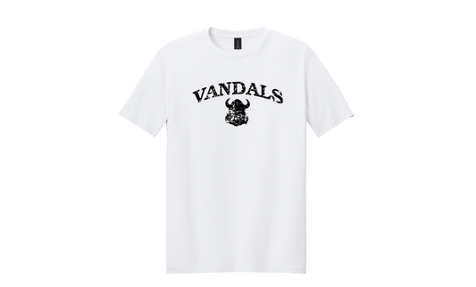 Distressed Vandals